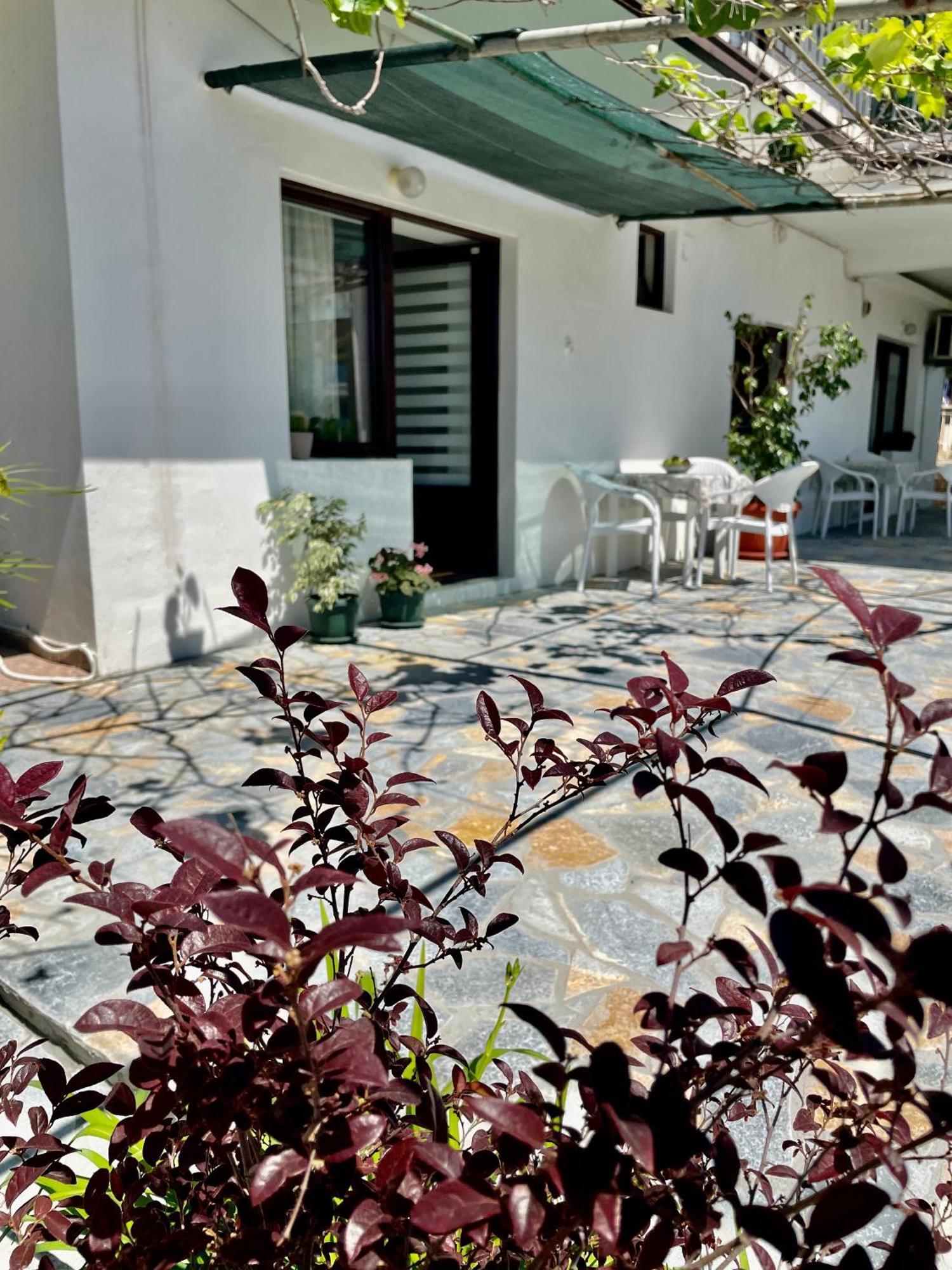 Apartments Marina Bečići Exterior photo